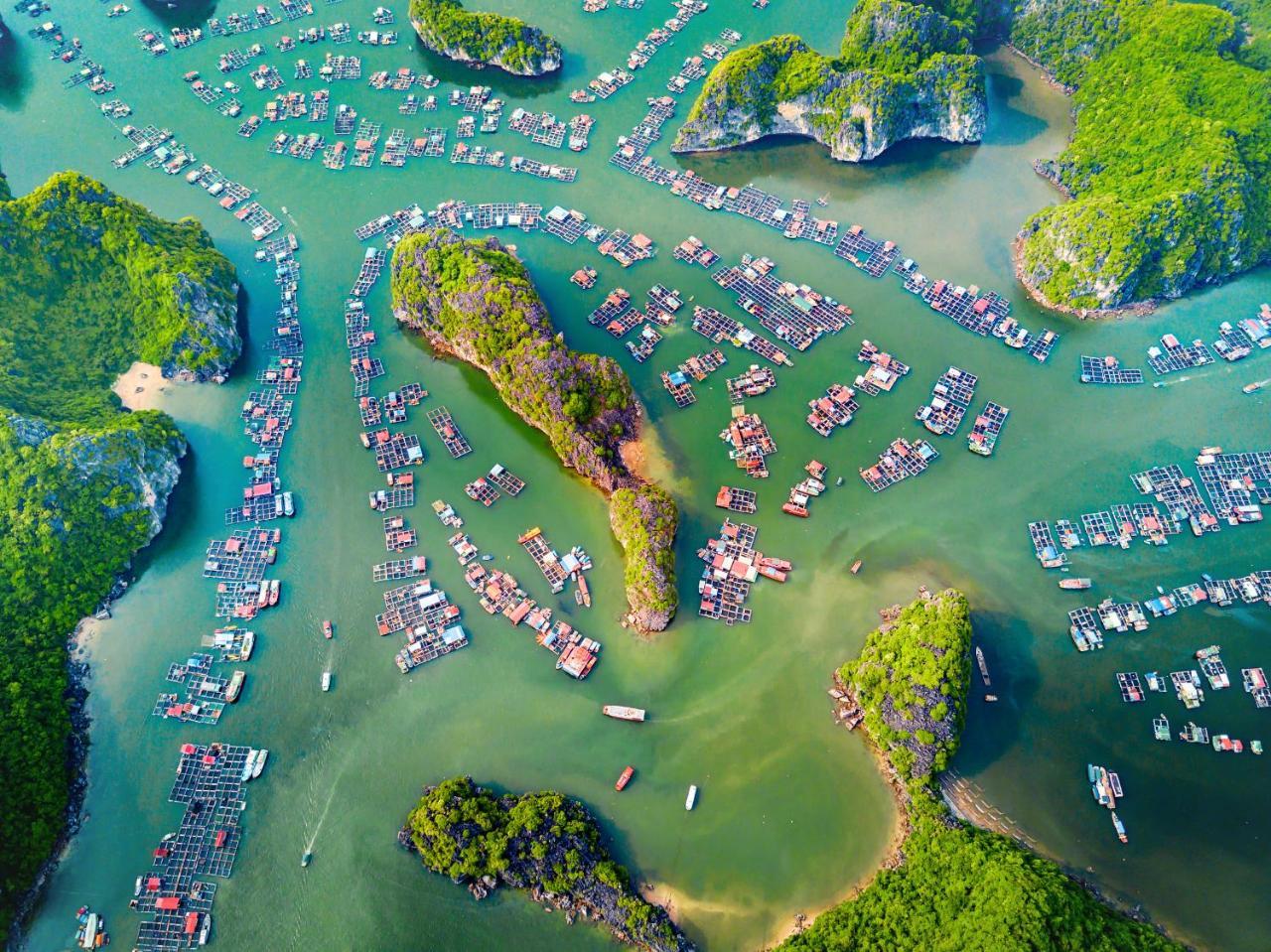 Alibaba's hotel Cat Ba Island Kültér fotó